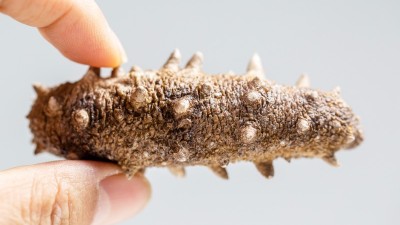 우리 땅이 키운 뷰티 소재, 전통 원료로 뷰티 시장 공략