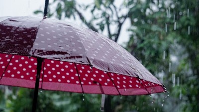 습하고 꿉꿉한 날씨, 두피 건강 '적신호'