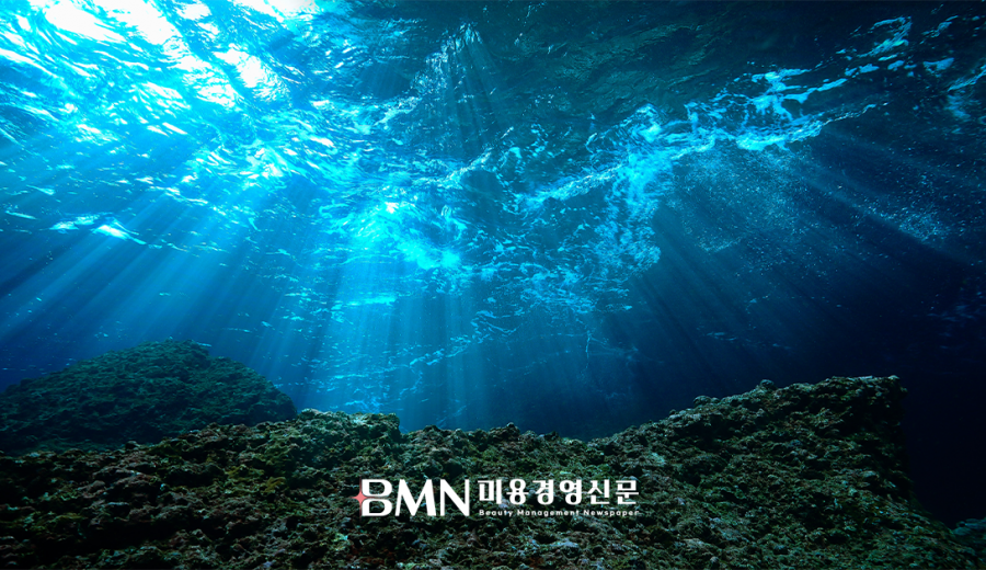 &#034;블루바이오가 K-뷰티 미래 연다&#034;... 해양 원료 기반 화장품 시장 급성장